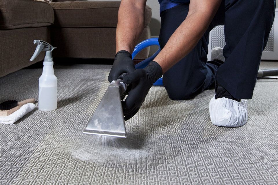 A man operates a vacuum cleaner on a carpet, showcasing a restoration service based in Washington, DC.