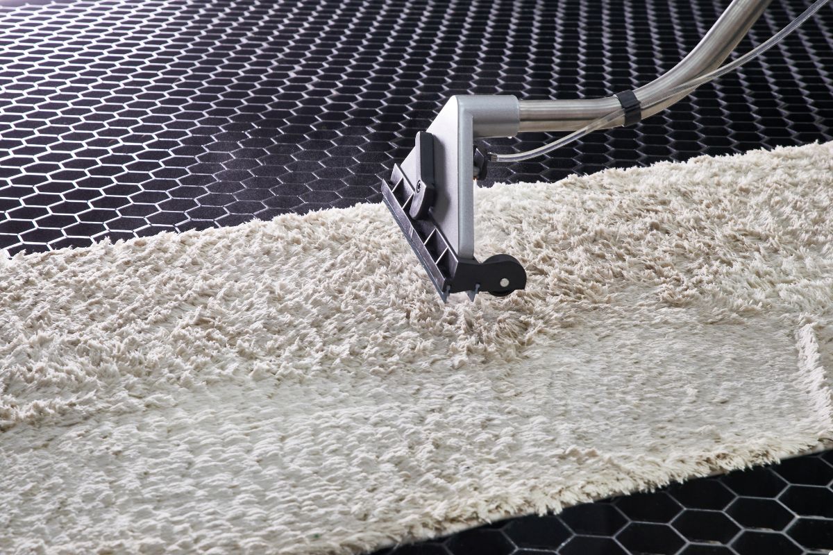 A person vacuuming a rug, focusing on removing dirt and debris for a clean living space. 