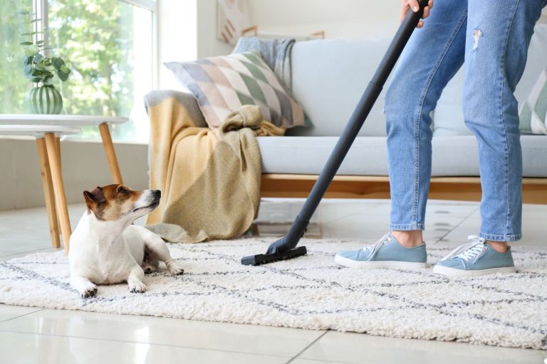 A woman using a vacuum to clean a dog's fur, focusing on grooming and maintaining the pet's cleanliness.